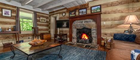 TV, fireplace, ping pong, books