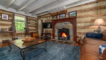 TV, fireplace, table tennis, books