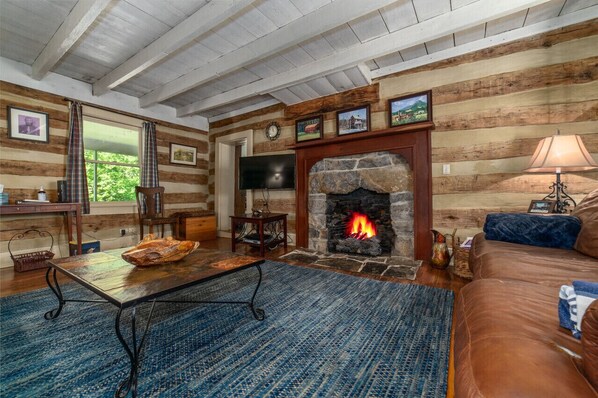 TV, fireplace, ping pong, books