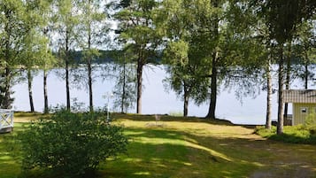 A lakeside property with a grassy area, a small shed, and a row of trees.