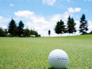 A golf ball on a green with a person in the distance. - 4 Person Holiday Home in Gislaved-by Traum (Gislaved)