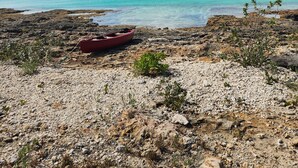 A rocky beach with a red boat and sparse vegetation. - Newly Remodeled Home on Calm Caribbean w/Sunset Views, Snorkeling, Generator! (N Palmetto Point)