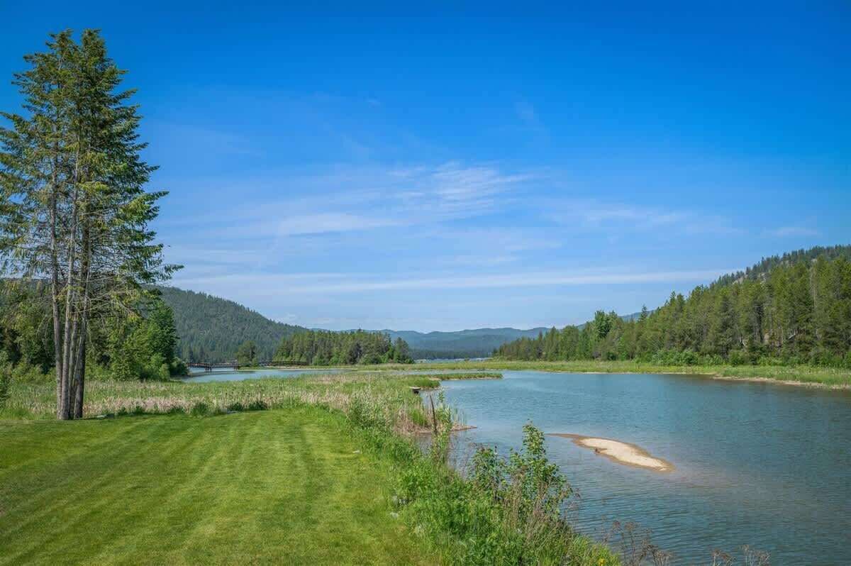 Una vista serena d'un llac amb primer pla d'herba, un arbre destacat i un turó forestal a la distància sota un cel blau clar.