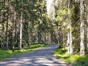 House | View from property