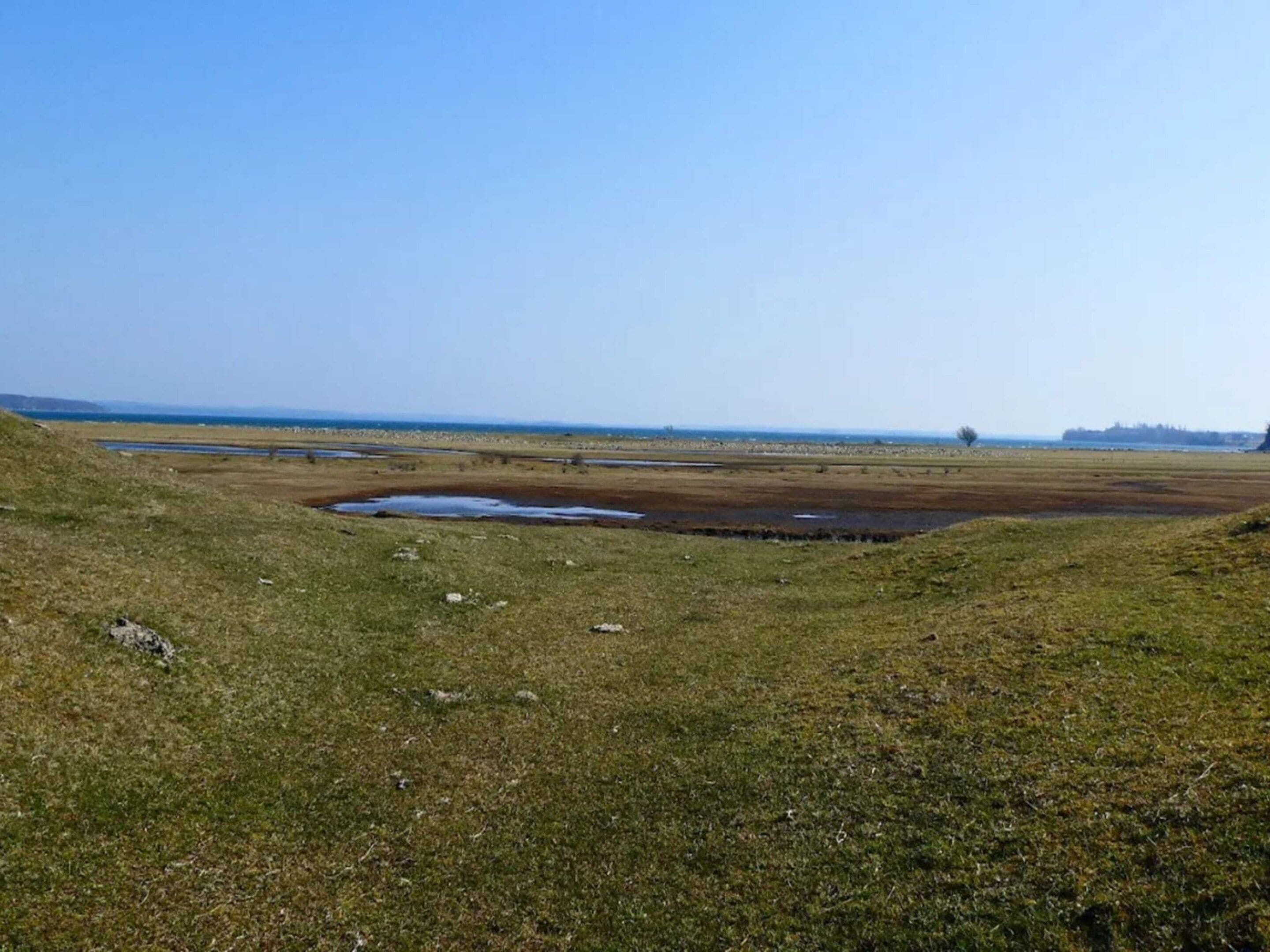 Een vlak landschap met een klein waterlichaam en verre bomen.