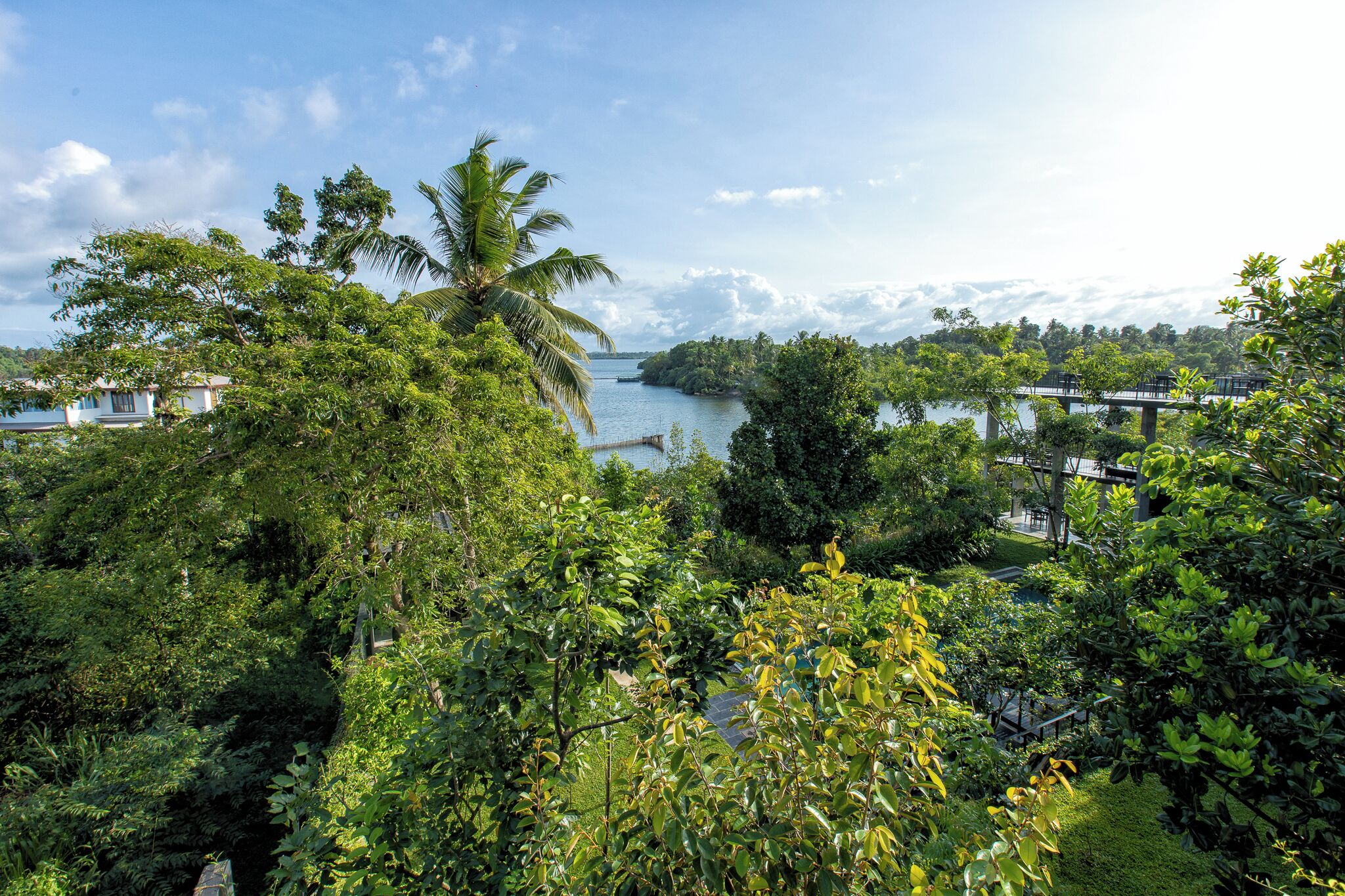 A lush, tropical landscape with dense greenery, a palm tree, and a bridge over a body of water.
