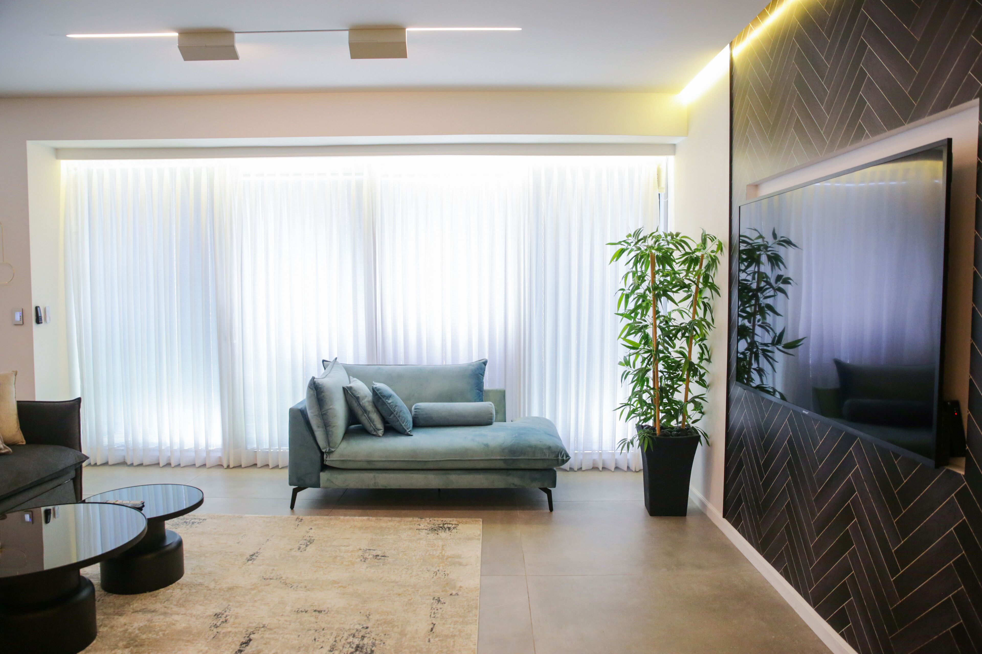 Una sala de estar moderna con un sofá, una mesa de centro, una planta grande en maceta y un televisor montado en la pared.