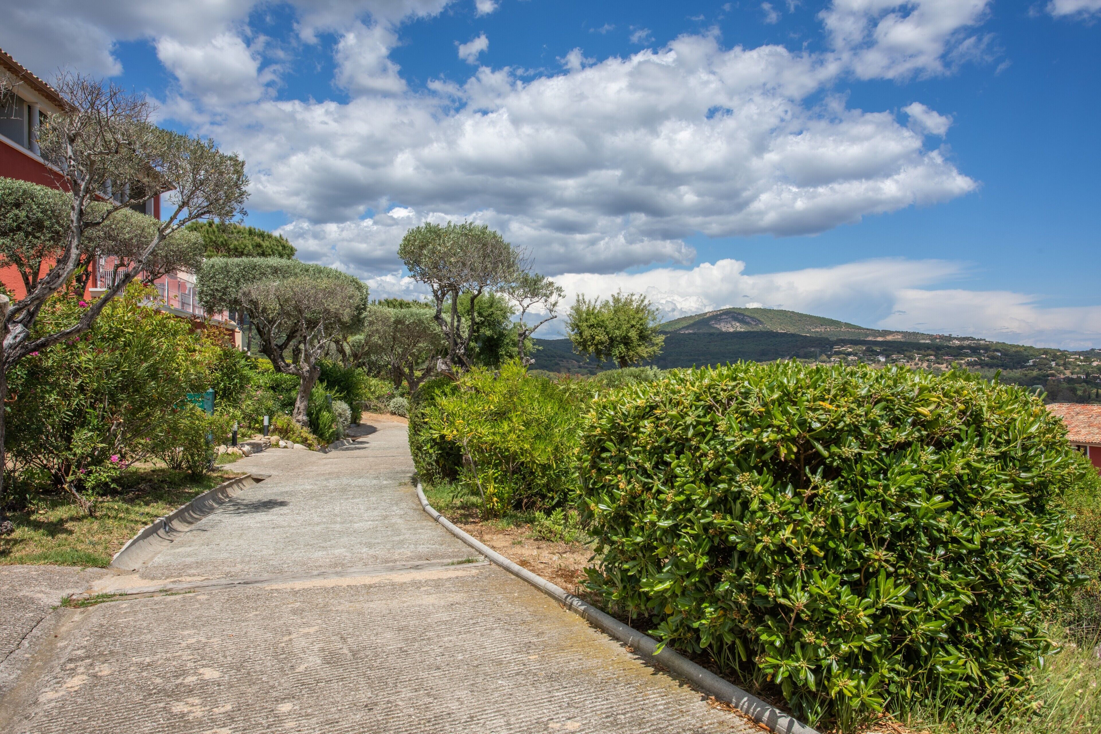 Parco della struttura