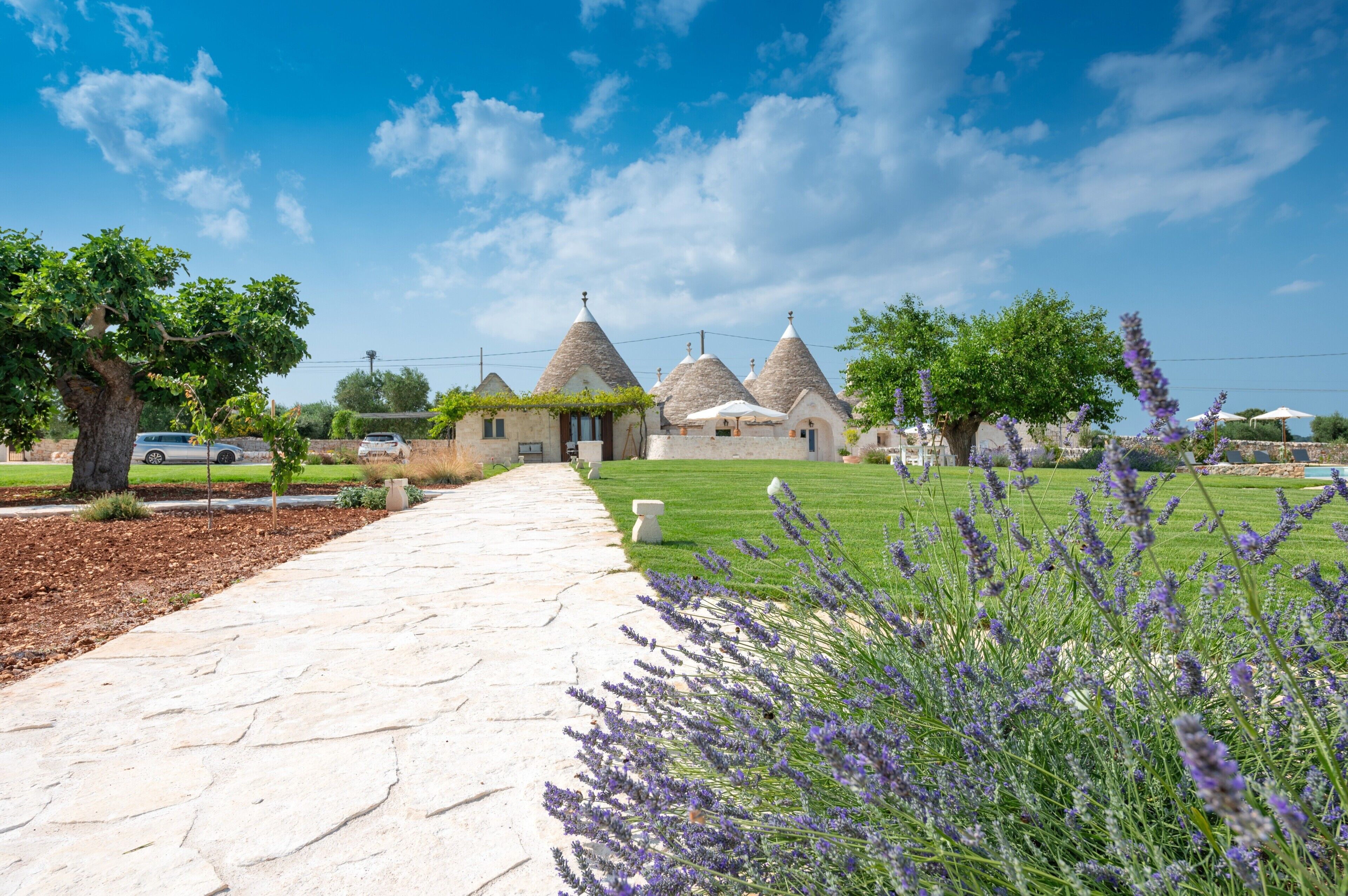 Área da propriedade