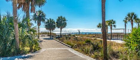 A wooden boardwalk leading to a beach with palm trees and a clear blue sky.