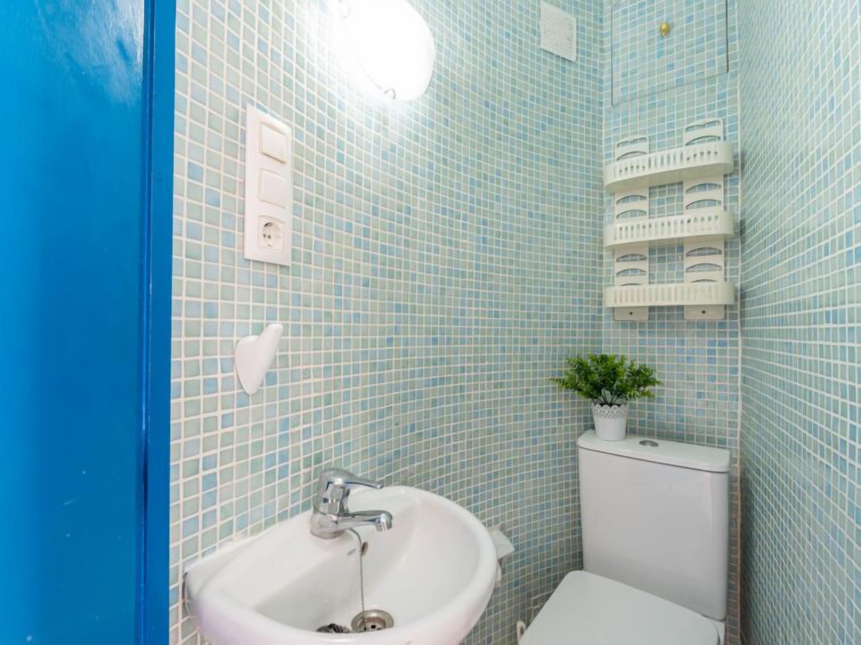 A bathroom with a white sink, a toilet, and a small potted plant on the wall.