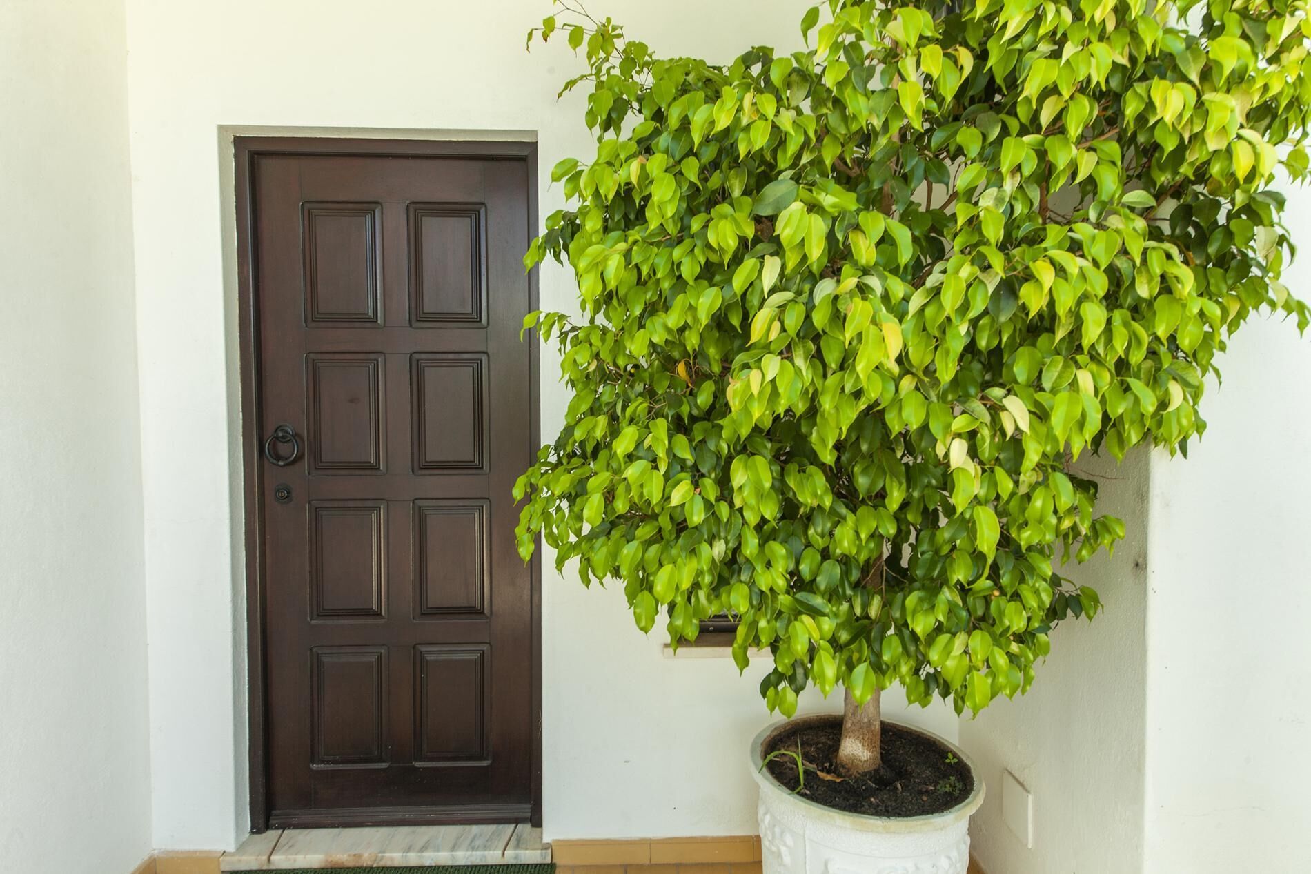 Detalle del exterior