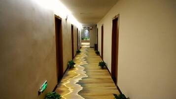 A hallway with wooden doors, carpeted floor, and potted plants.