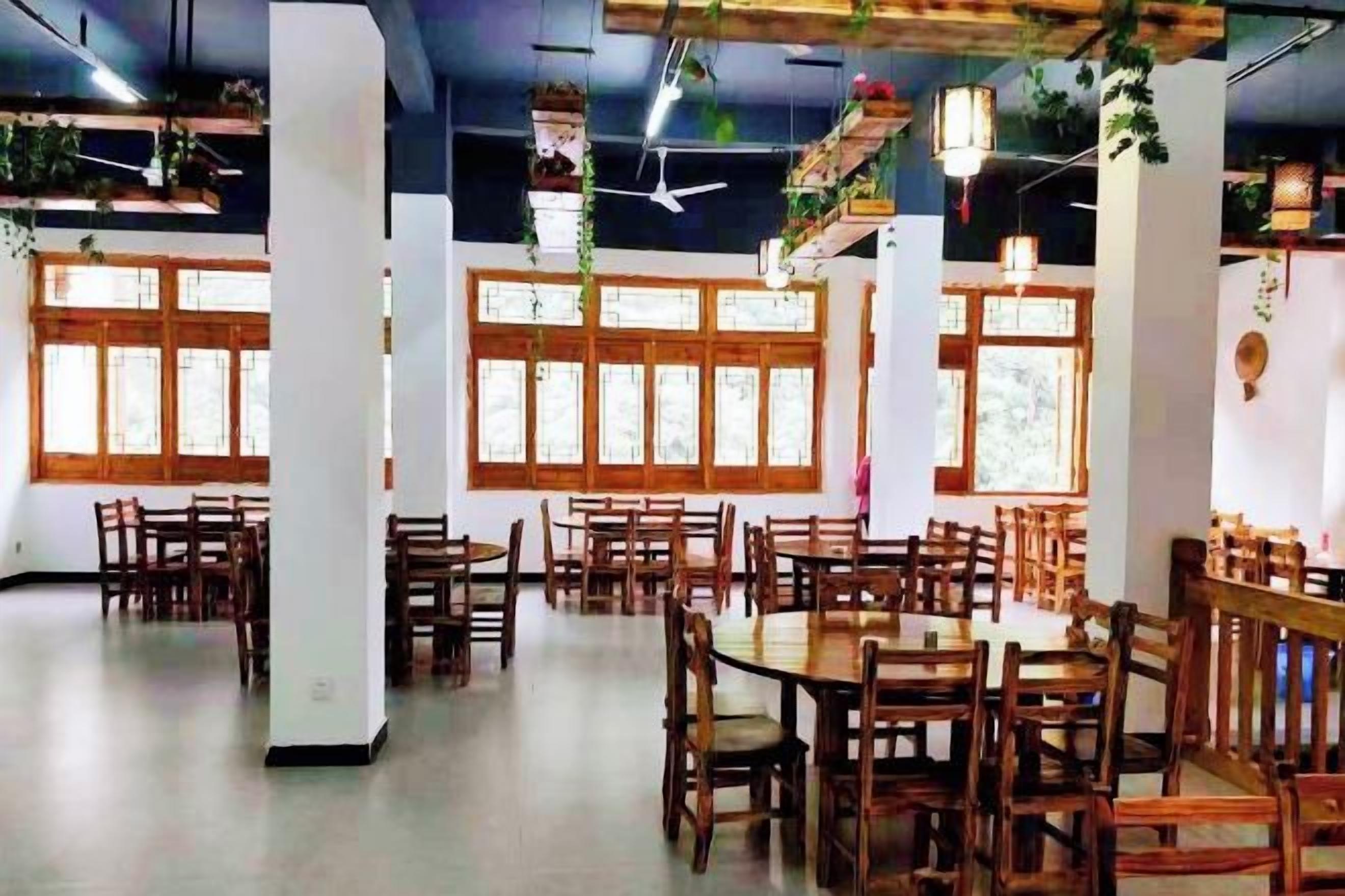 A spacious dining area with multiple wooden tables and chairs, large windows, and hanging plants.