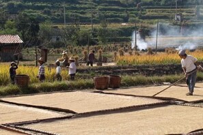 A rural scene with people working in a field, possibly harvesting crops. - Wuyuan Youyicun Inn (Wuyuan)
