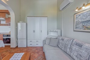 Un espace de vie compact comprenant un coin cuisine, une armoire blanche, un canapé gris agrémenté de coussins à motifs et un tableau encadré accroché au mur.