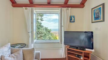 21-inch flat-screen TV with satellite channels, TV