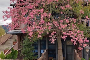 Room - Huangyao Flowers Ocean Hotel (Zhaoping)