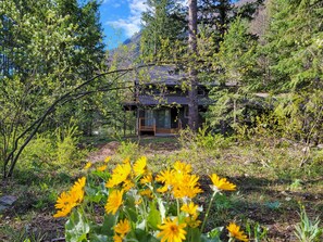 A cabin surrounded by dense forest, with a clear view of the surrounding nature.