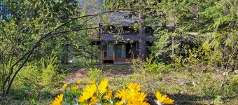 Phoenix, 3 Bedroom Woodland Cabin