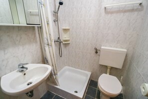 Bathroom features a sink, mirror, shower, and toilet.