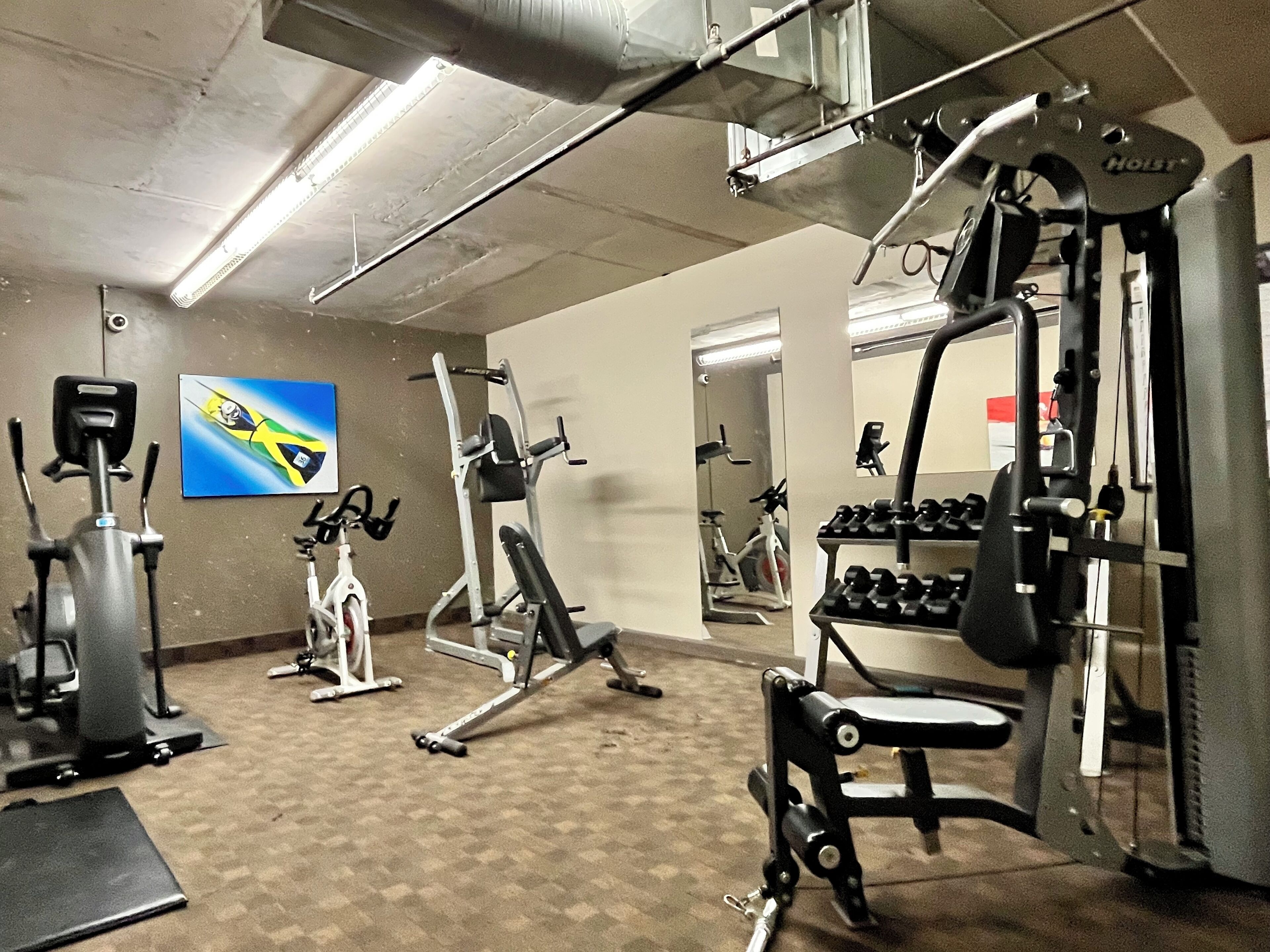 A gym with various exercise equipment, including treadmills, weight machines, and dumbbells.