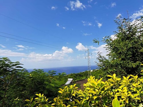 "Kazafwi péyi" (la maison des fruits pays)