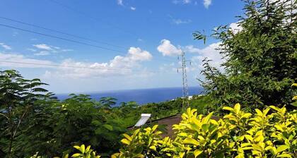 "Kazafwi péyi" (la maison des fruits pays)
