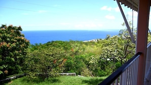 A view from a balcony overlooking a lush green landscape with a clear view of the ocean.