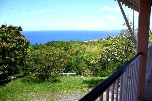 A view from a balcony overlooking a lush green landscape with a clear view of the ocean.