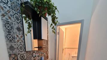 Shower, hair dryer, bidet, towels