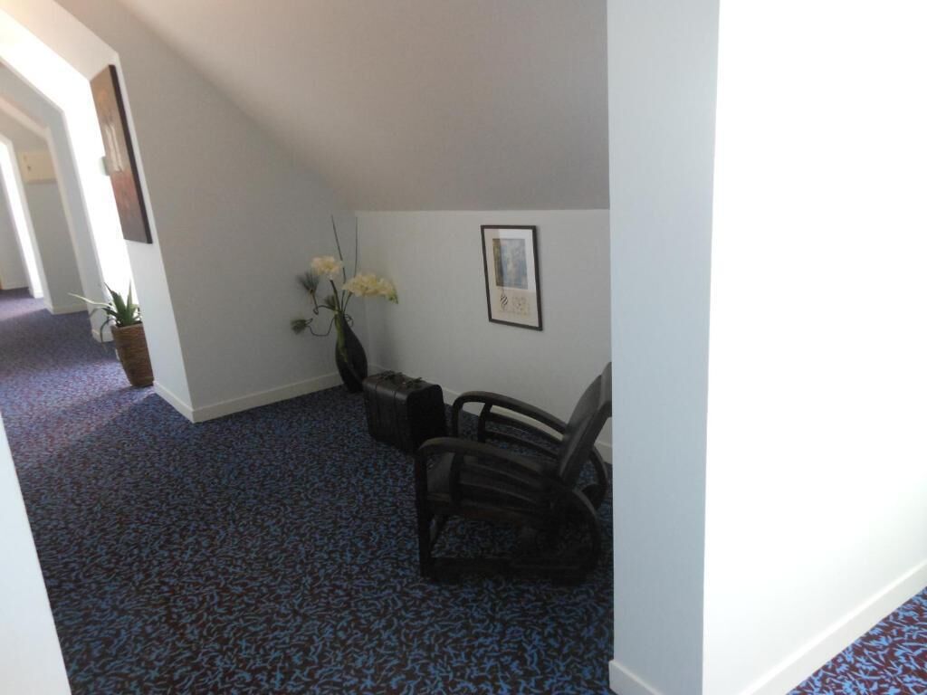 Une pièce avec un tapis bleu à motifs, une chaise noire, une plante en pot et un tableau encadré accroché au mur.