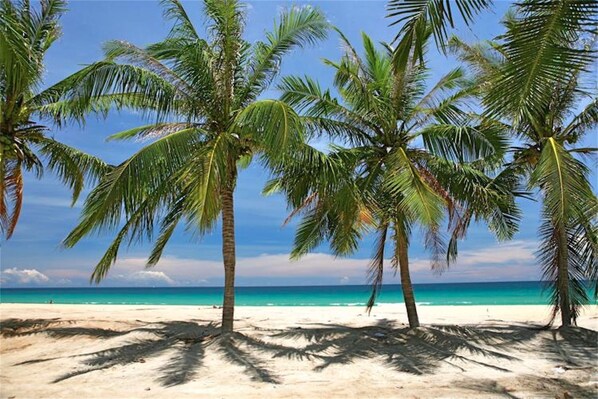 Enjoy a tranquil beach experience with access to turquoise waters and palm trees.