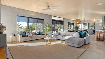 Televisión, chimenea, libros y oficina