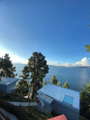 A residential area with a view of a large body of water, surrounded by trees and houses with metal roofs.