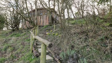 A wooden staircase leading to a rustic cabin surrounded by trees and vegetation.
