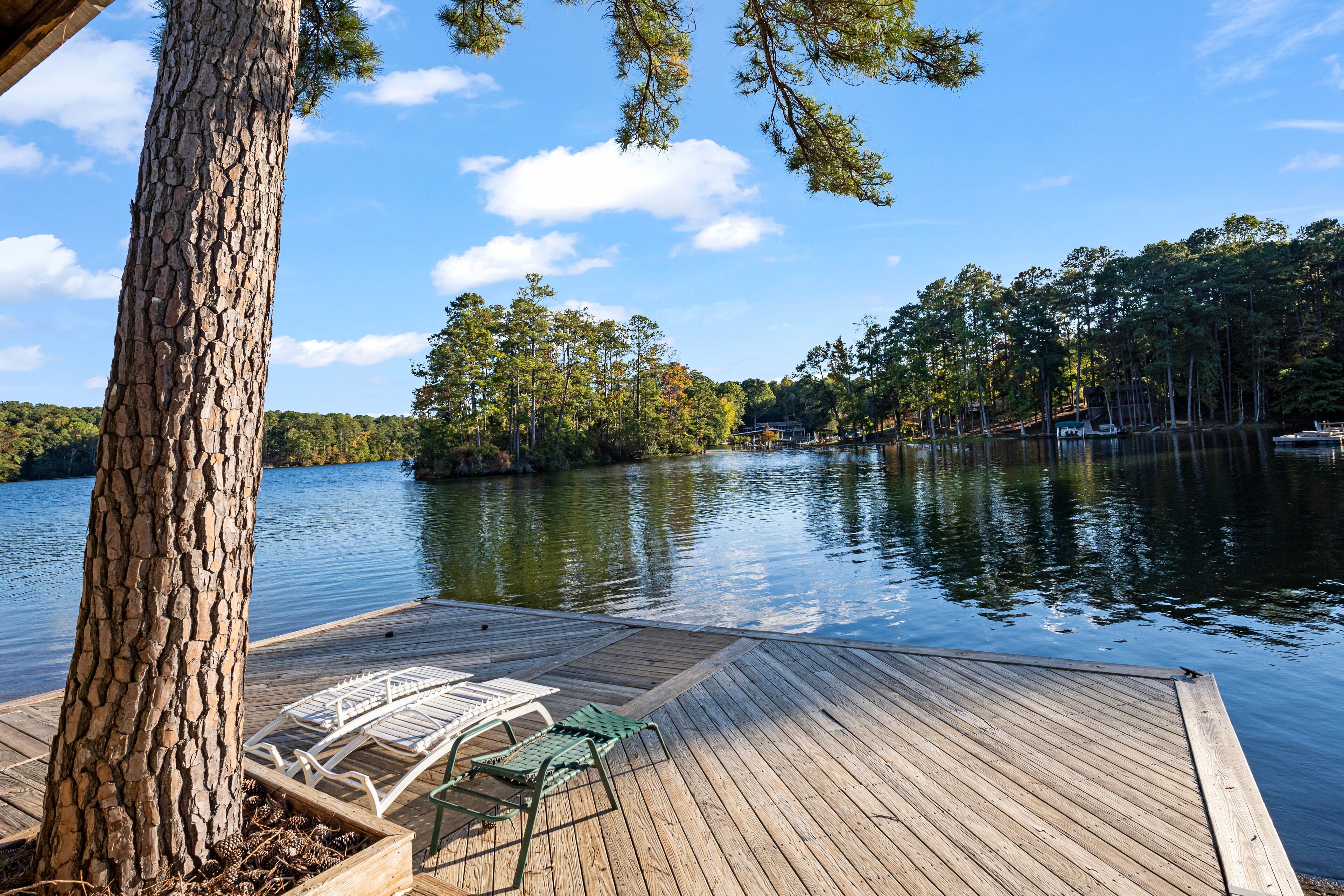 Une jetée en bois, dotée de chaises longues et bordée d’un arbre, surplombe un lac paisible, avec une forêt dense en arrière-plan.