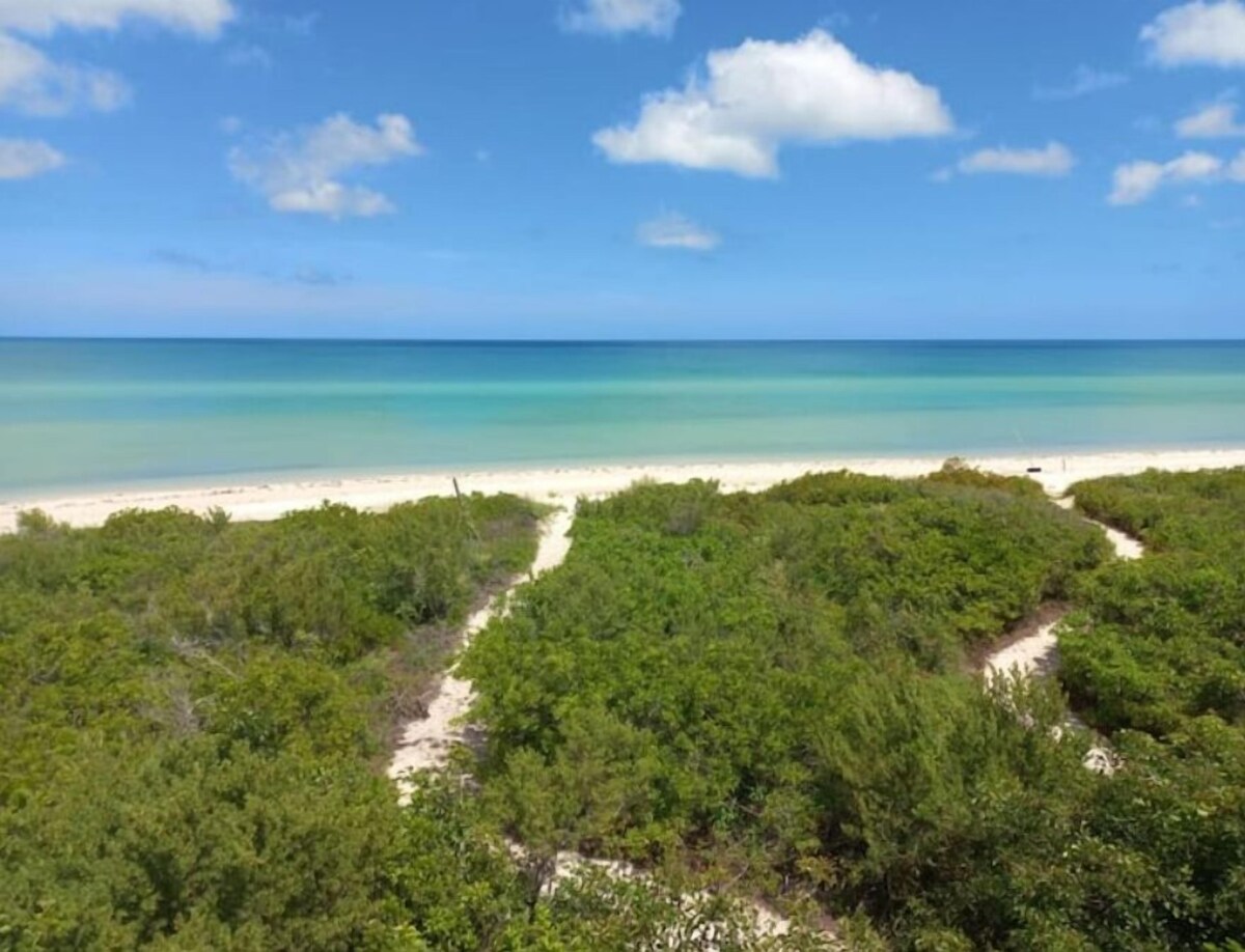 Værtens profilbillede