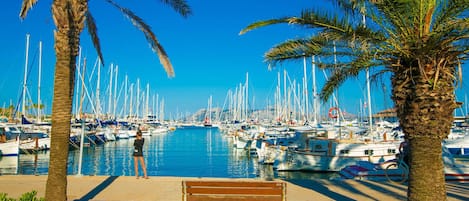 Marina