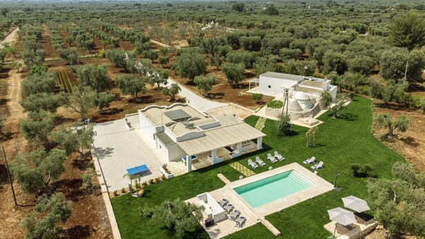 Vue aérienne d’une propriété dotée d’une piscine, d’un espace extérieur couvert et d’un bâtiment entouré d’oliviers.