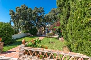 Stroll through a serene garden with a variety of plants and trees, including a tall evergreen and a flowering shrub.