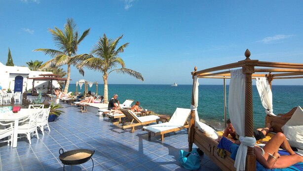 Un complexe hôtelier situé en bord de mer, doté d’une terrasse, de palmiers et offrant une vue sur l’océan.