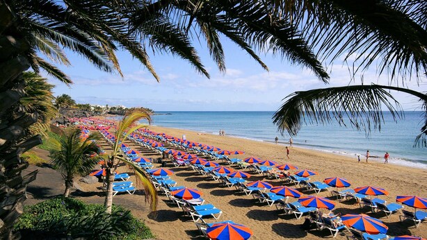 A beach with rows of blue and orange beach umbrellas and lounge chairs.
