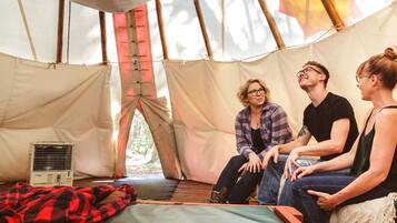 A tent with a bed, a heater, and a view of the outdoors.