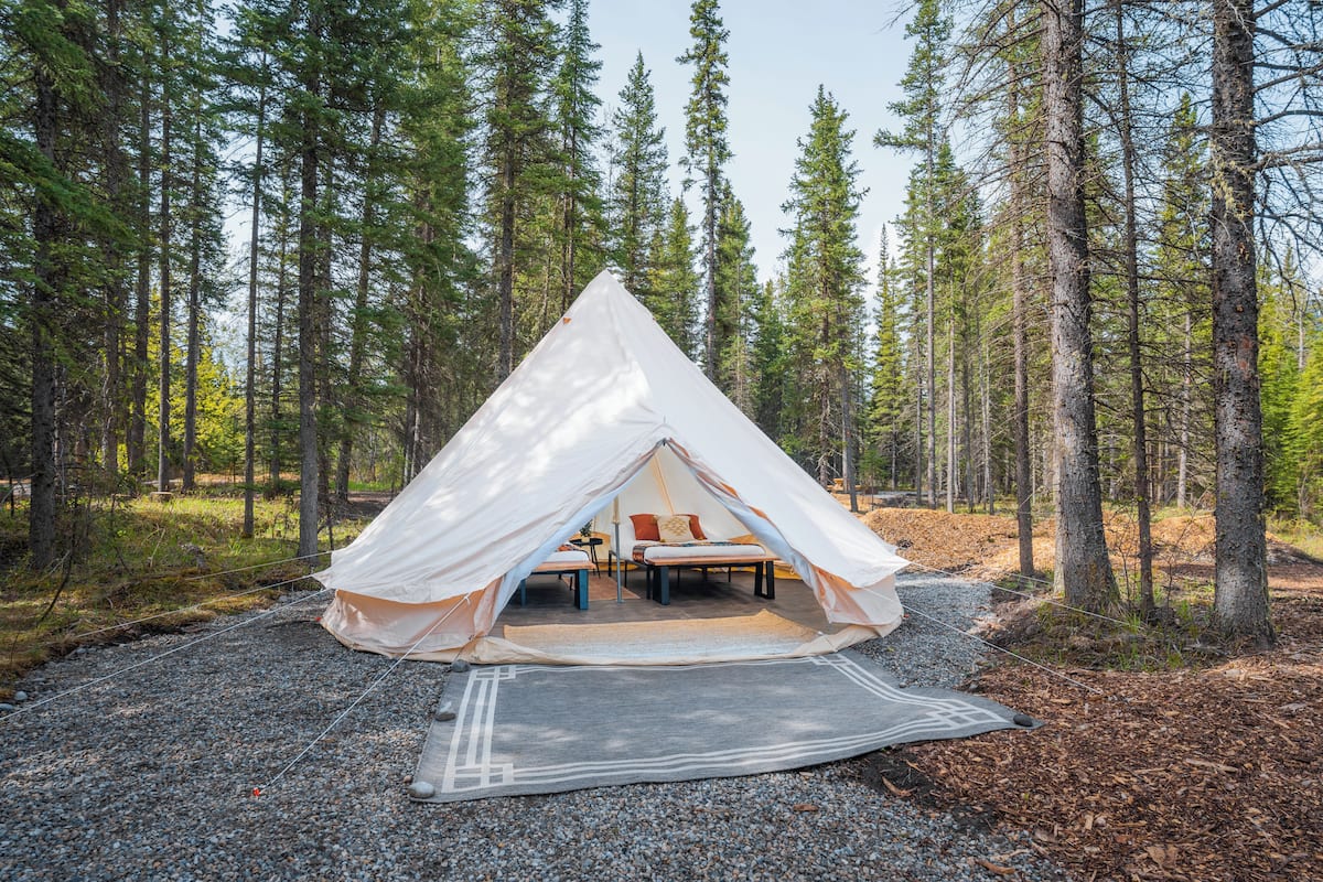 A tent with a table and chairs inside, surrounded by trees.