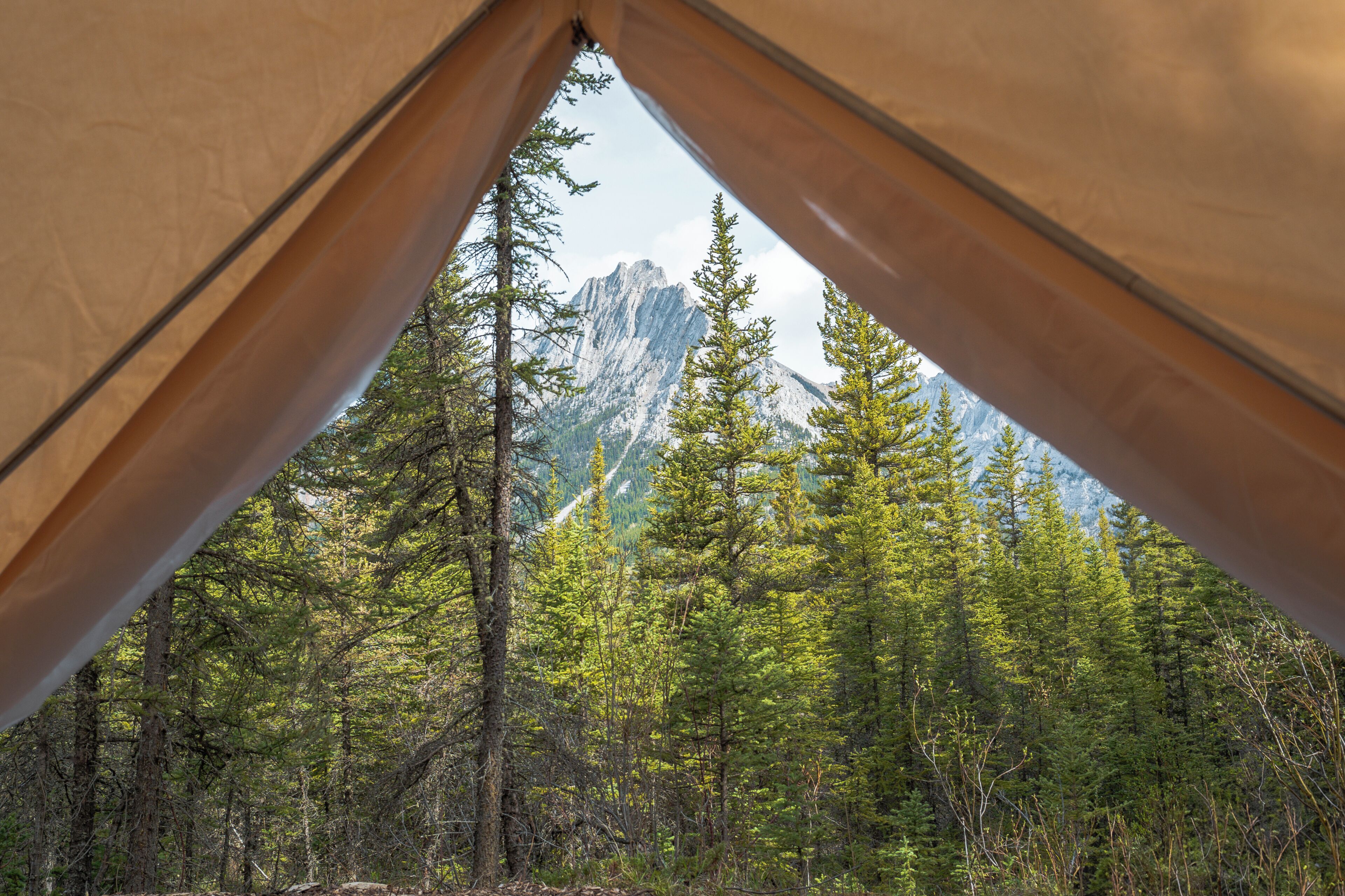 Une tente avec vue sur une forêt et des montagnes.