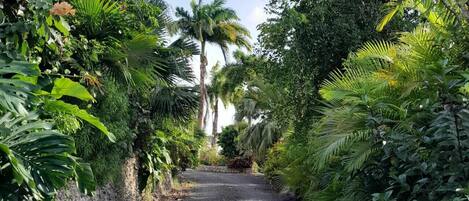 Jardines del alojamiento