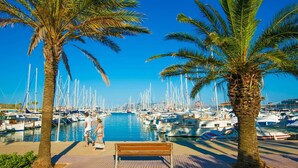 Un port de plaisance avec des bateaux amarrés, des palmiers et un banc.