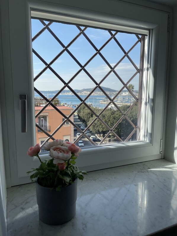 Een raam met uitzicht op een jachthaven en gebouwen, een bloeiende plant in een pot op de vensterbank, en een deur met een handgreep.