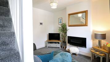 Smart-TV, Kamin